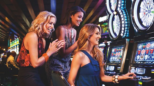 platform cuputoto dengan dealer langsung dan layanan sportsbook